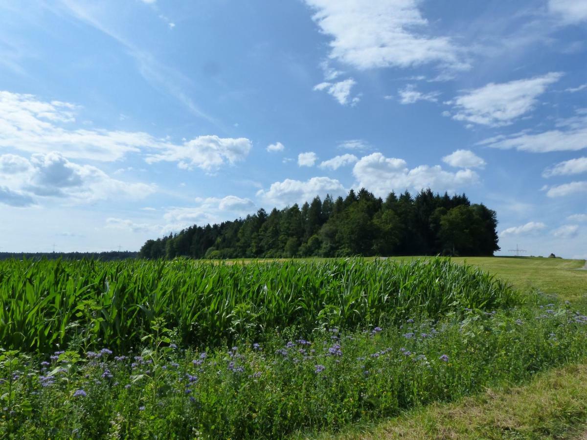 Landgasthaus Sonne Freudenstadt Kültér fotó